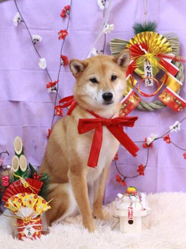 20230118シュウくん